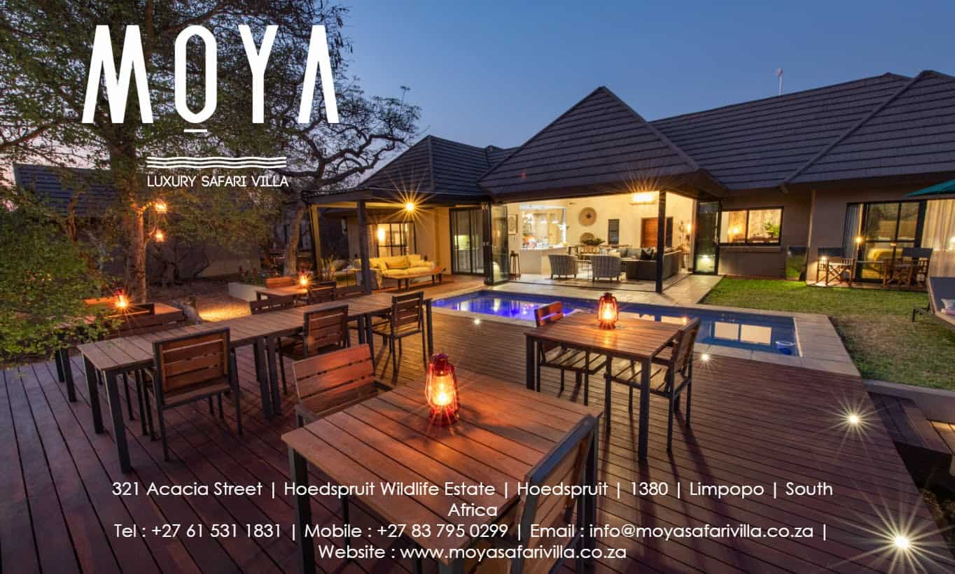 Moya Photo Header