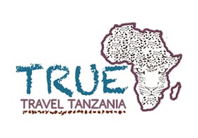 True Travel Tanzania