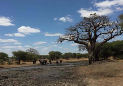 7-Day Best of Tanzania Camping Safari