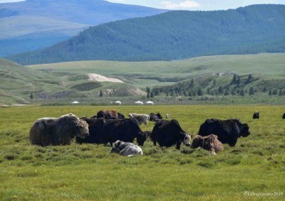 Zavkhan – Land of Nomads – Cultural Safari