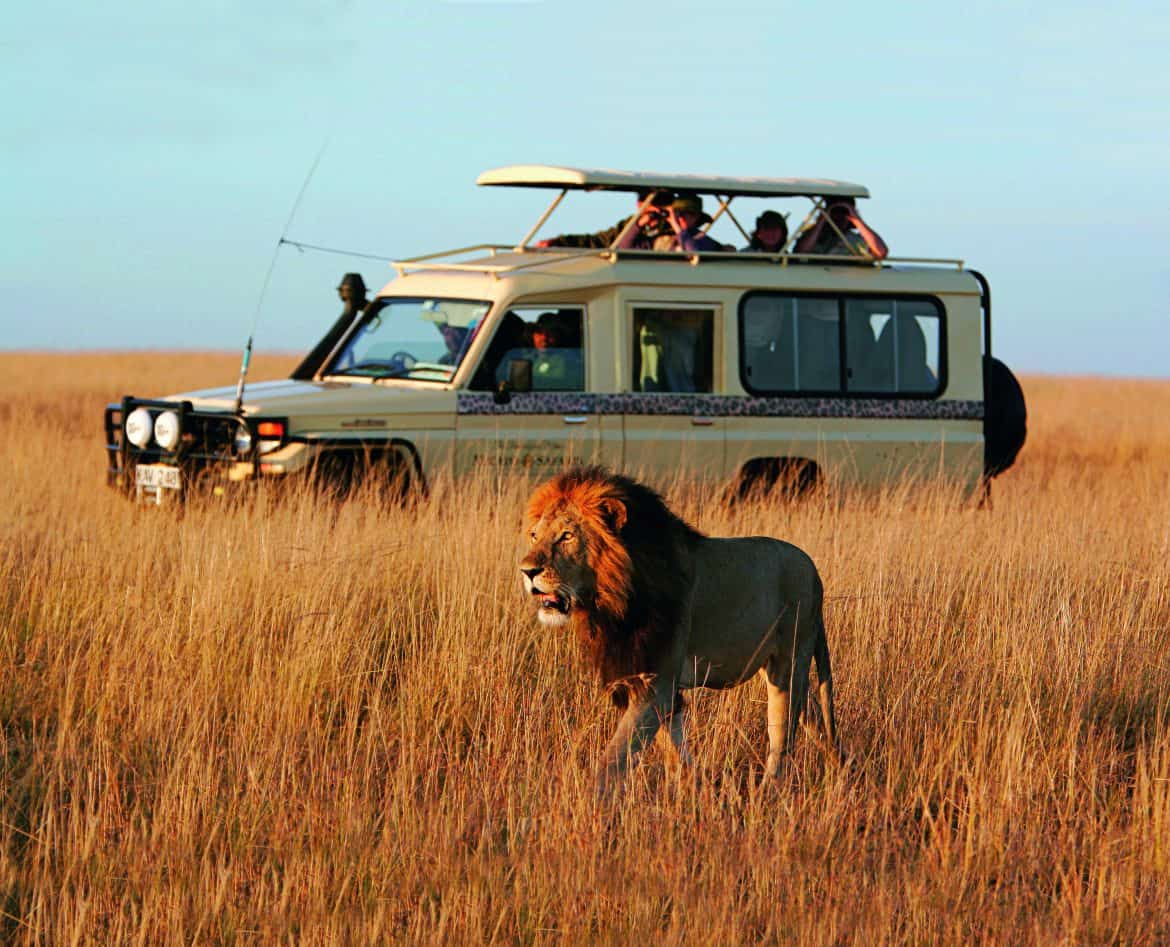 Safari 1170x947 1