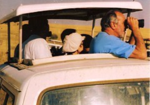 Safari Van Roof Top
