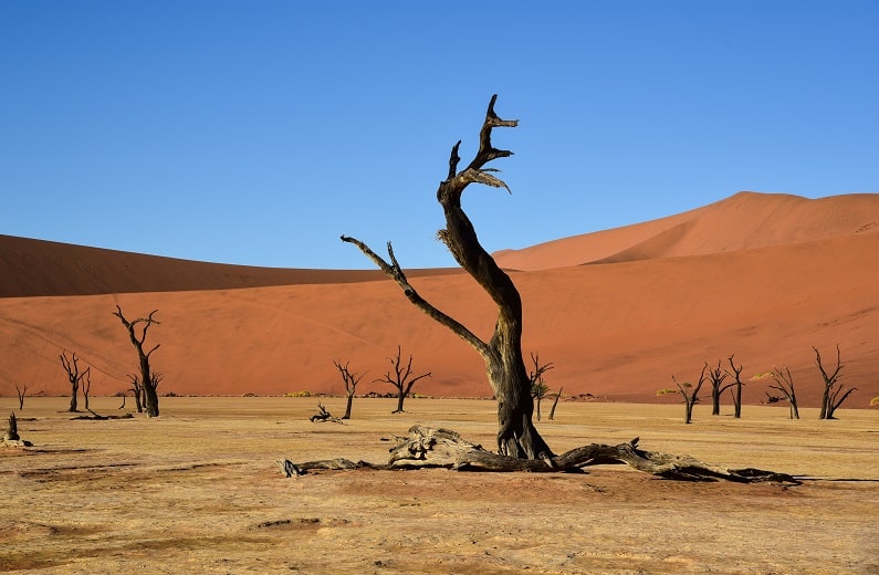 Sossusvlei.1
