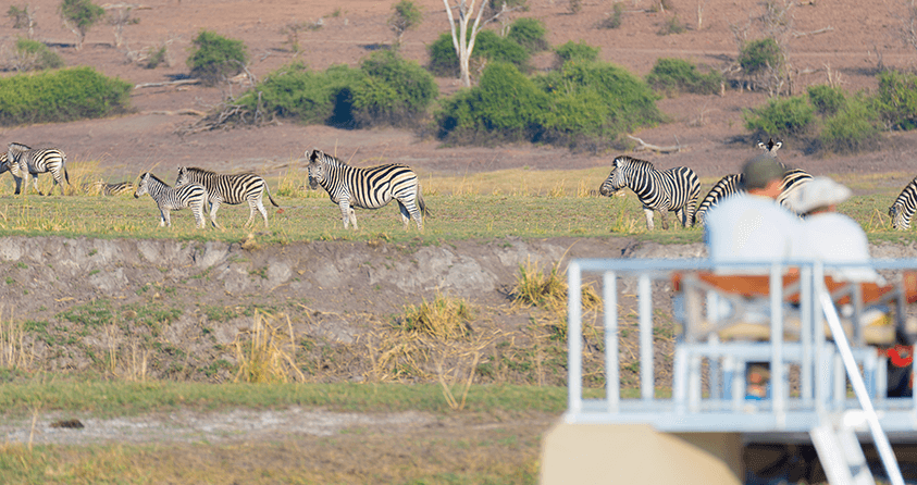 Best Time to Visit Botswana