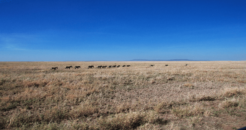 Kenya Weather & Climate – A Summary