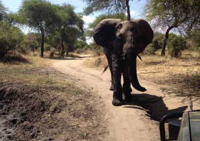 3-Day Tanzania Crater & Lake Safari