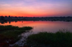 7-Day Uganda Primate Safari