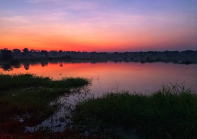 7-Day Uganda Primate Safari