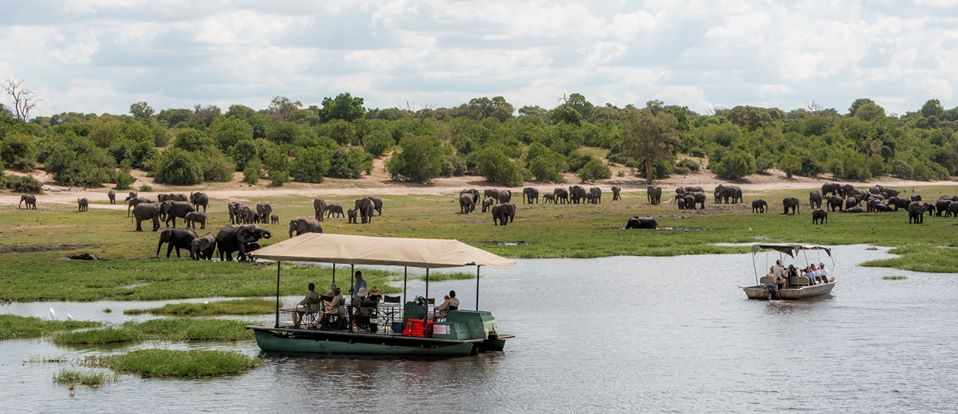 African safari tours