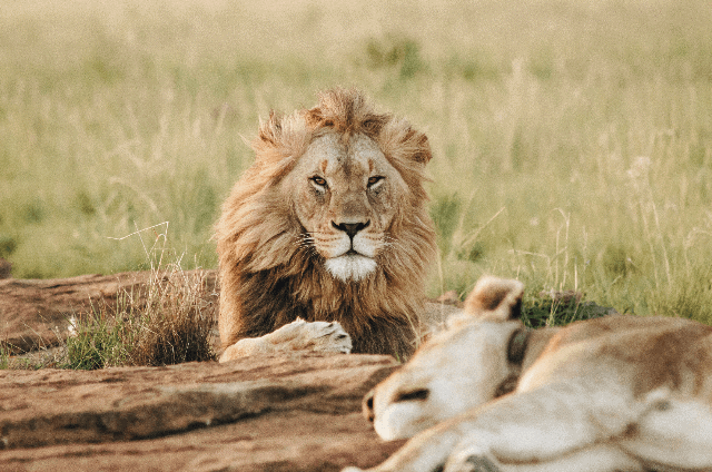 Best Time to Visit South Africa