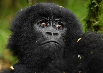 30-Day Epic East African Adventure