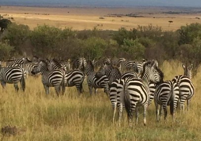 12-Day Best of Kenya Safari