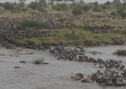 Photographic River Crossing Safari