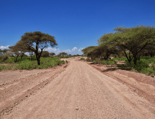 Reasons to Visit Botswana in the Summer and Winter Season