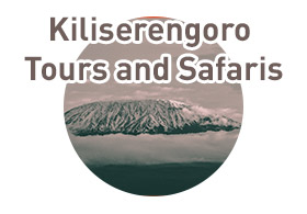 Kiliserengoro Tours and Safaris