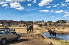 1-Day Elephant’s Paradise Tarangire