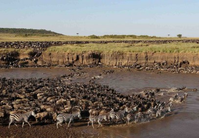 6-Day Serengeti Migration Safari