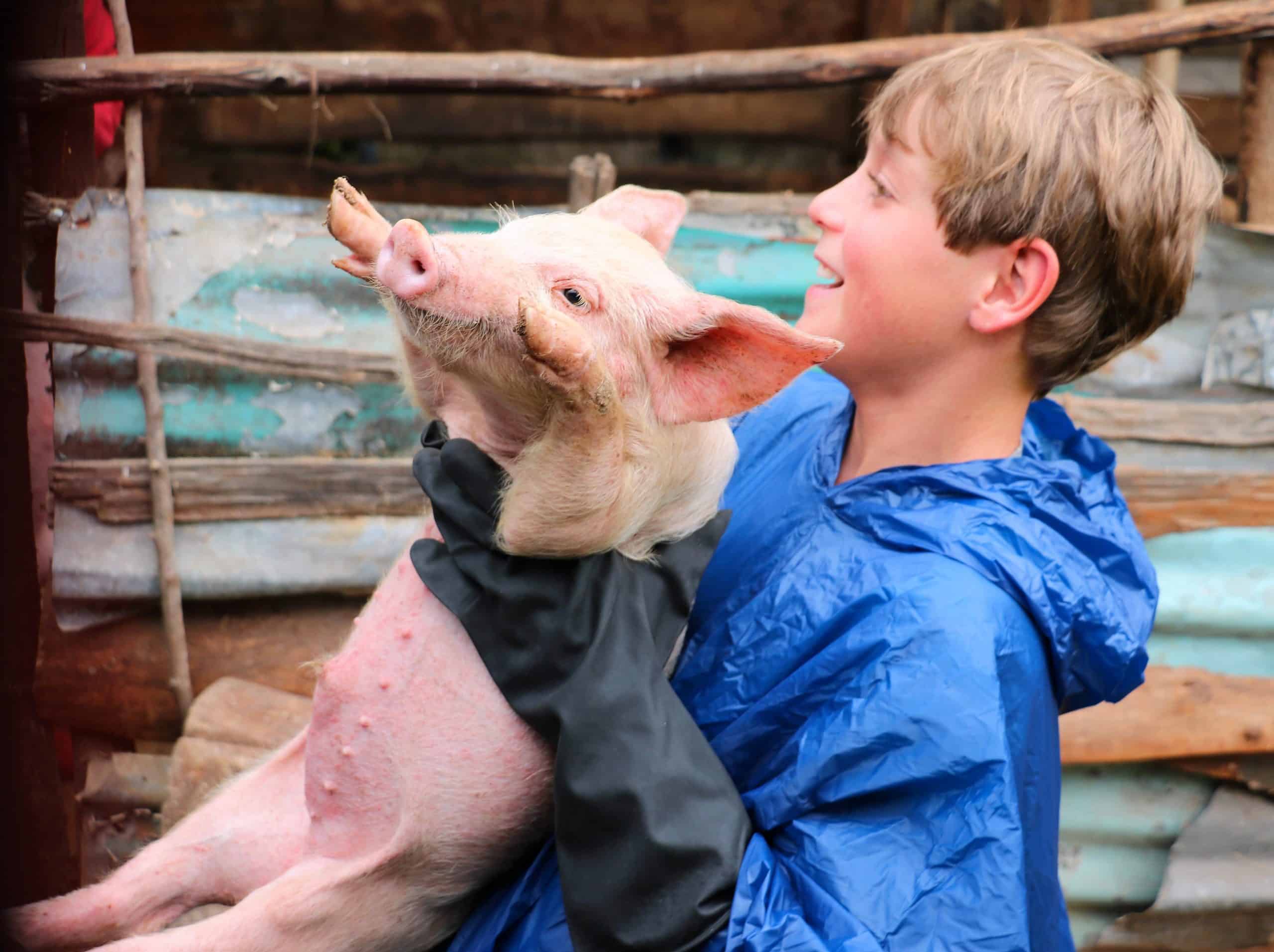 8. Go Granny Go! One Horizion Spare Day In Nairobi Safari The Life Changing Moment When A Young Traveller Hands A Piglet To A Grandma