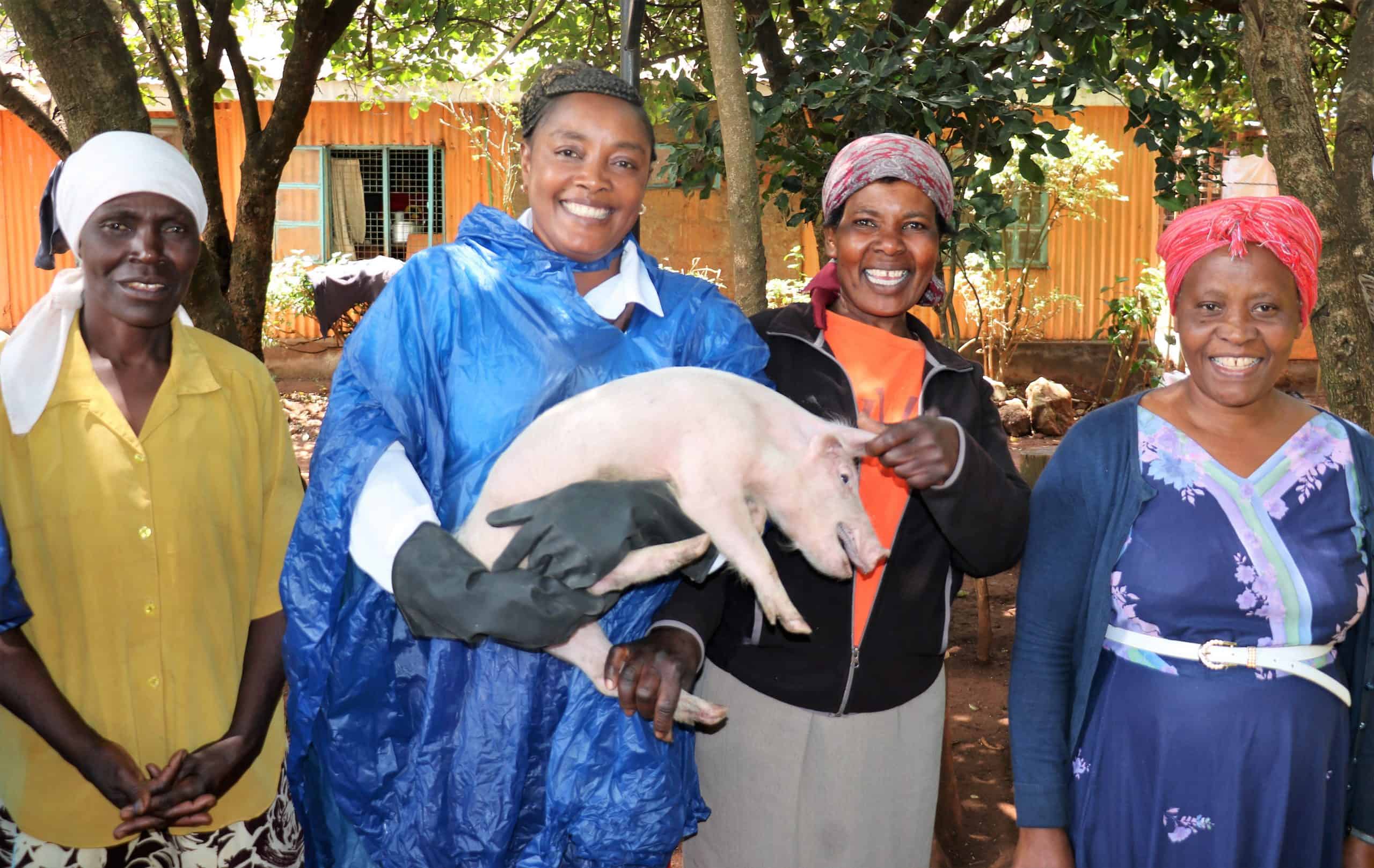 83. A New Grandma Gets A Pig
