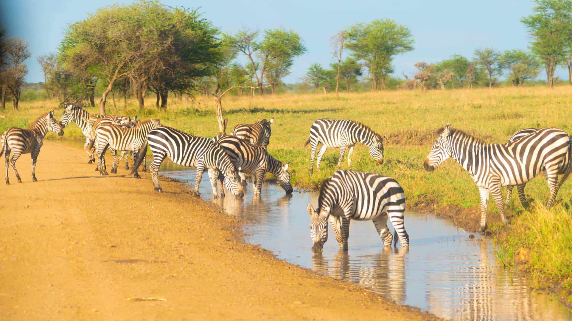 9 Days Tanzania Safari