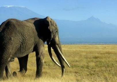 6-Day Kenyan Camping Safari