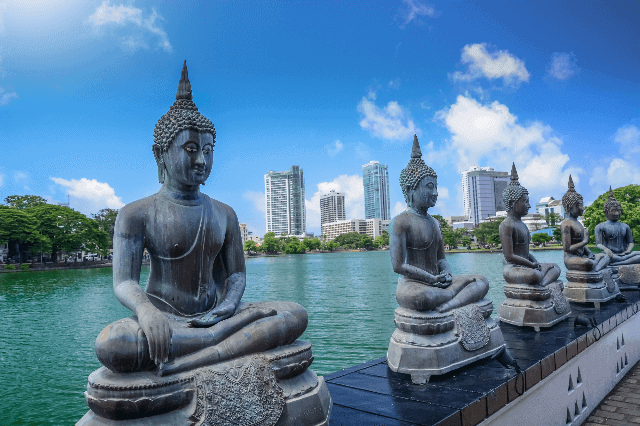 Best Time to Visit Sri Lanka