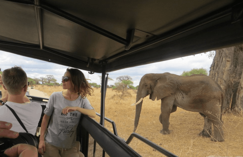 Game drive at Tarangire
