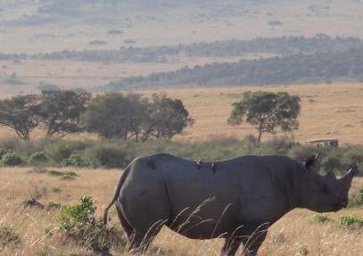 12-Day Classic Kenya Safari