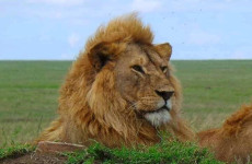 3-Day Selous Adventure (Nyerere National Park)