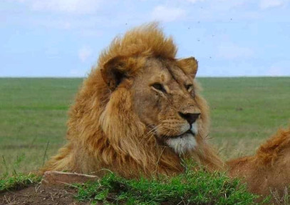 3-Day Selous Adventure (Nyerere National Park)
