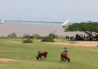 9-Day Masai Mara & Lake Victoria