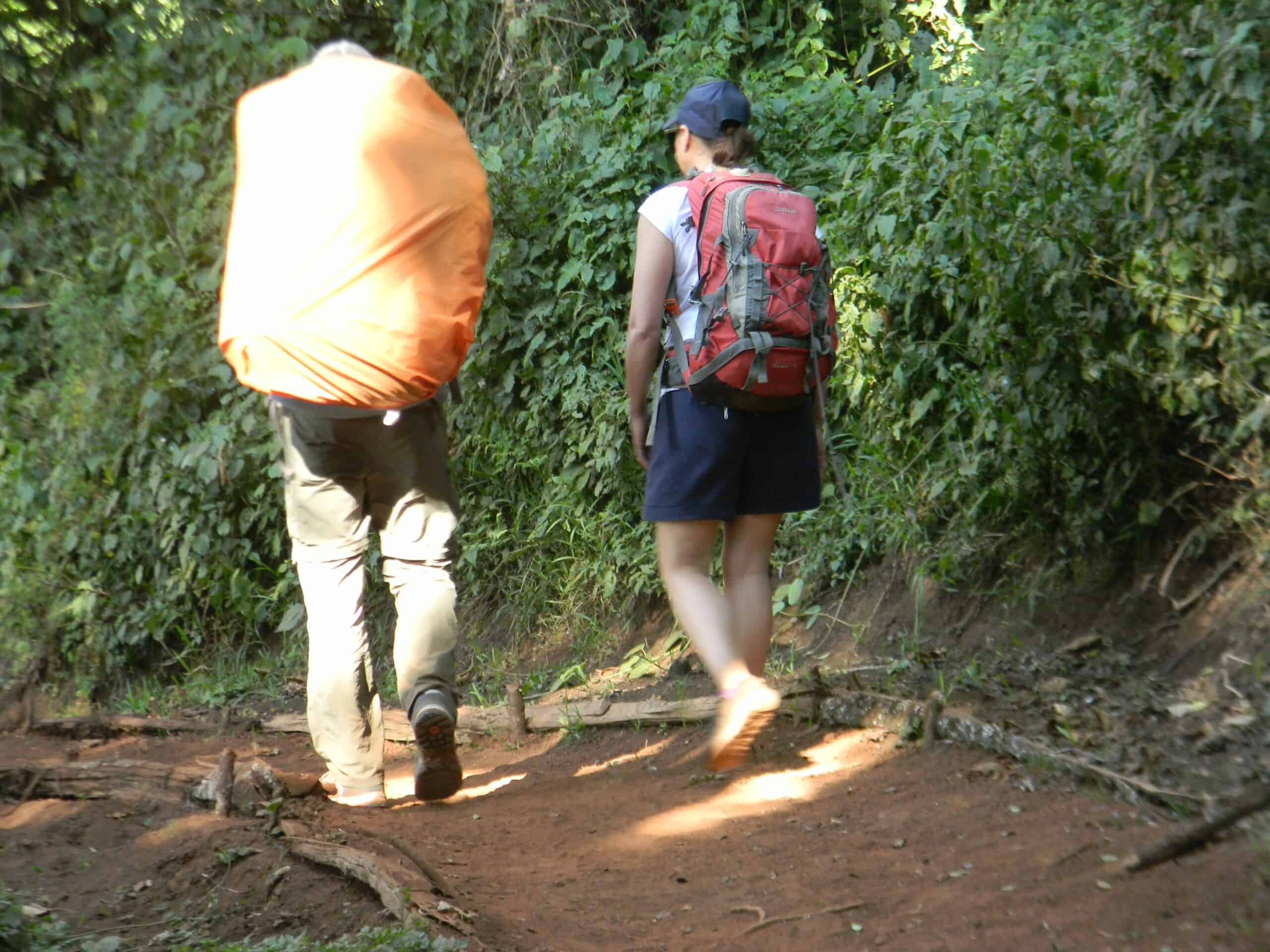 Landoros Gate Mti Mkubwa Kilimanjaro Lemosho Route (6)