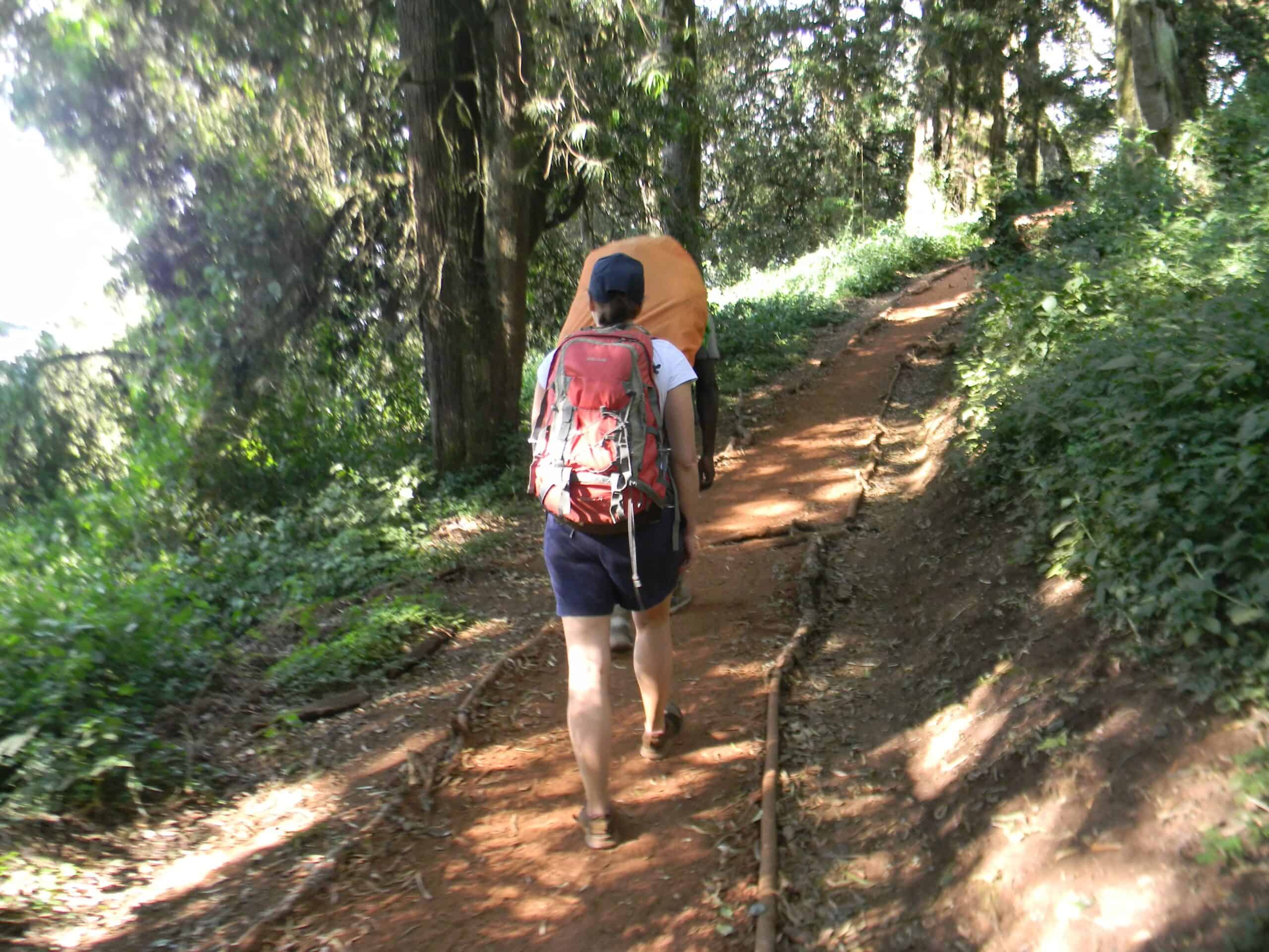 Landoros Gate Mti Mkubwa Kilimanjaro Lemosho Route (8)
