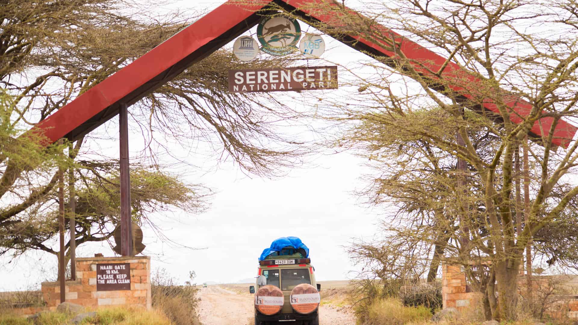 Best Serengeti Safari