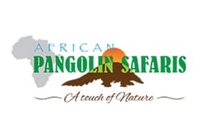 African Pangolin Safaris
