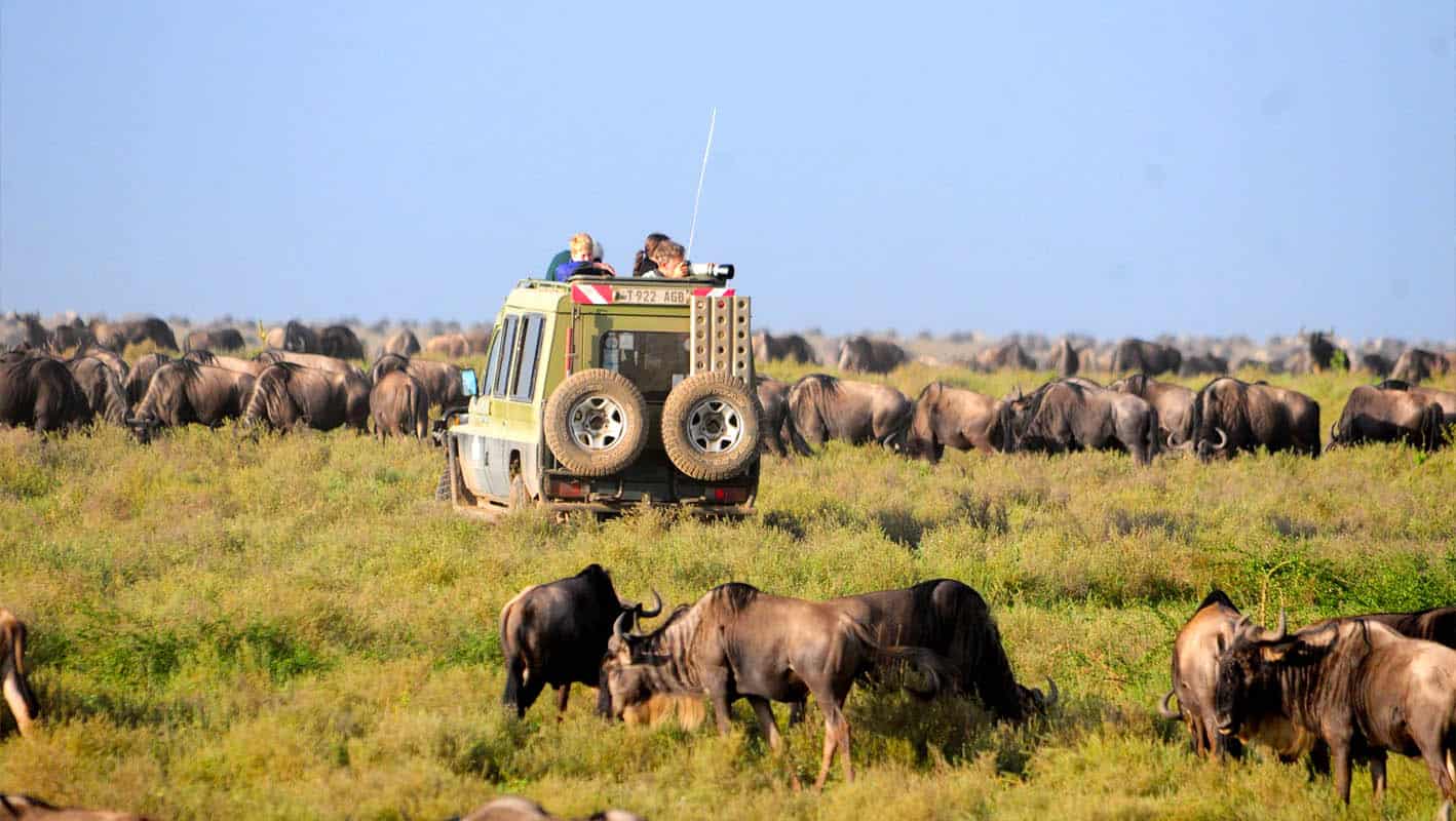 Serengeti Tanzania Safari