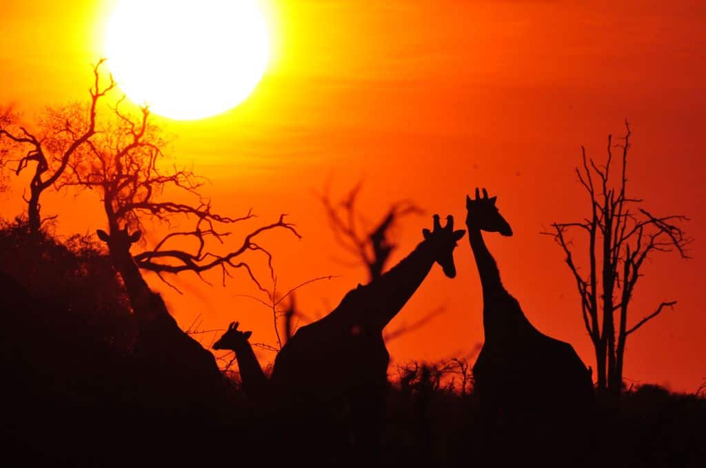 10 Day Safari Across Serengeti And Ngorongoro Crater