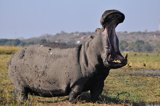 4 Day Serengeti And Ngorongoro Tour1