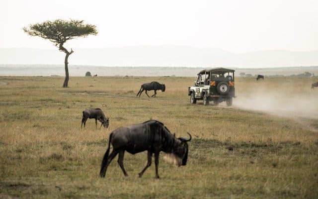 7 Day Tanzania Luxury Safari Holiday1