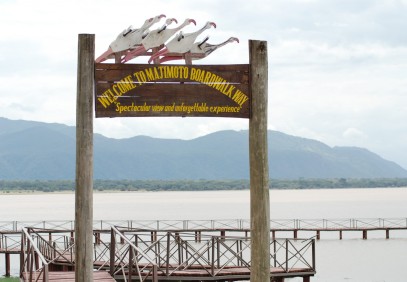 Lake Manyara & Ngorongoro Crater Safari