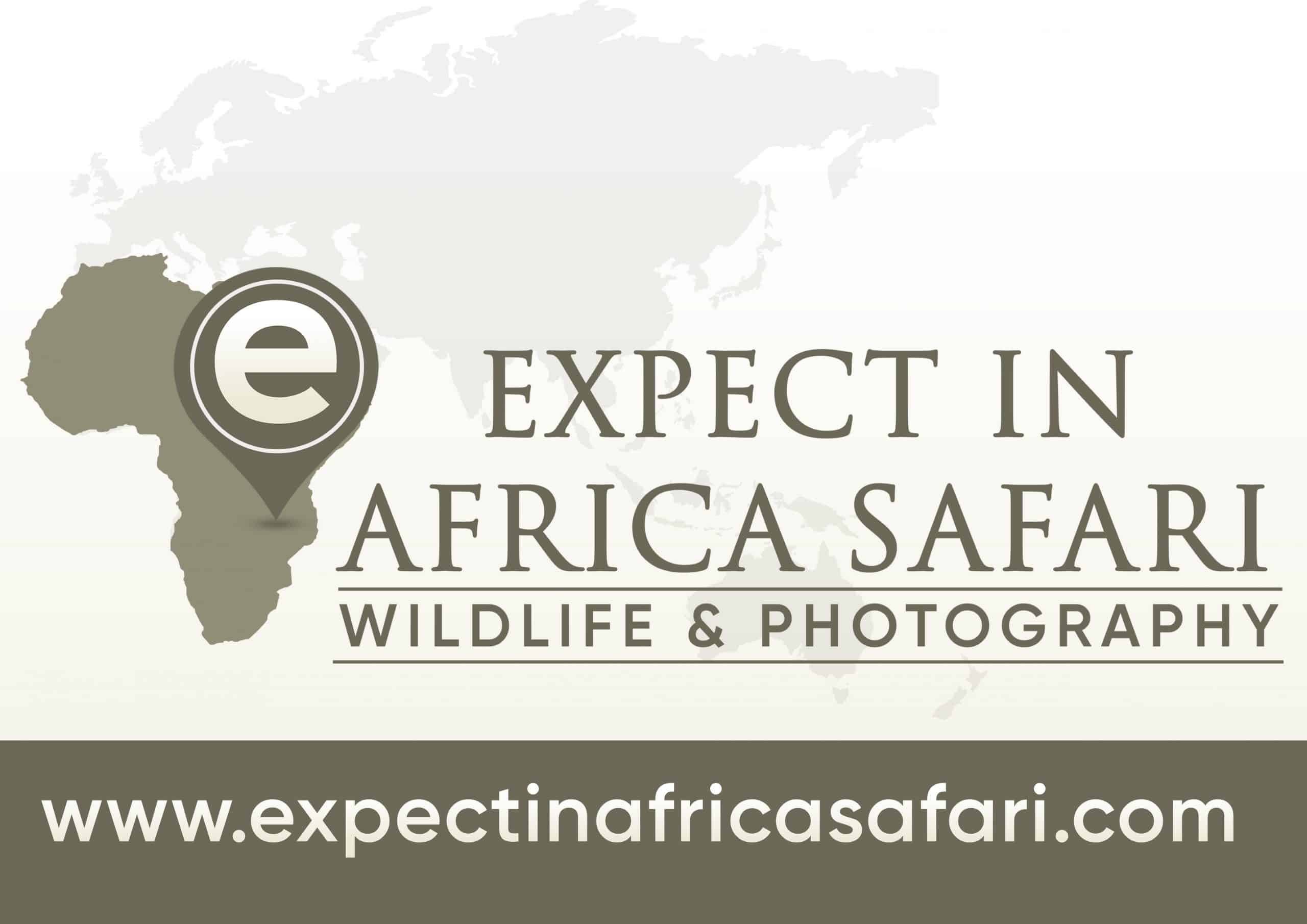 Expect In Africa Safari