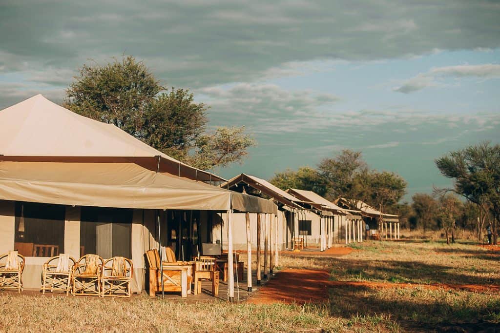 Kintiki Africa Serengeti 22 1024x683 1