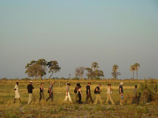 Nomad Africa Adventure Knp