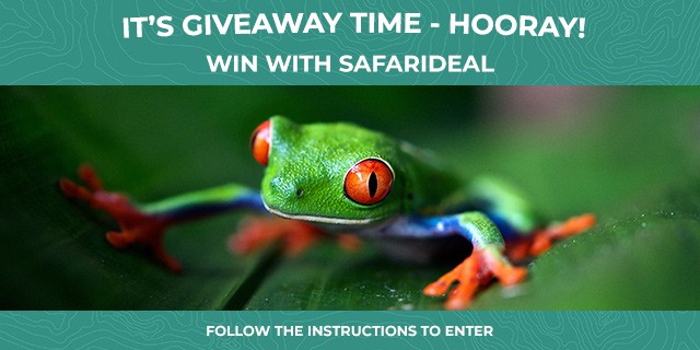 Safarideal Giveaway Contest 02