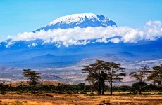 1-Day Mountain Kilimanjaro Day Hike