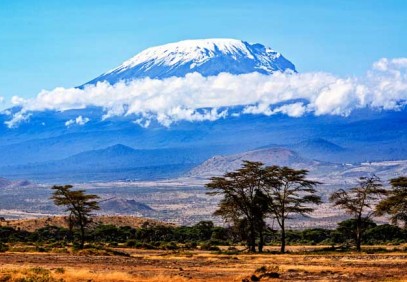 1-Day Mountain Kilimanjaro Day Hike
