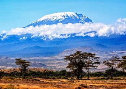 1-Day Mountain Kilimanjaro Day Hike