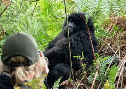 5-Day Chimpanzee and Gorilla Tracking Safari