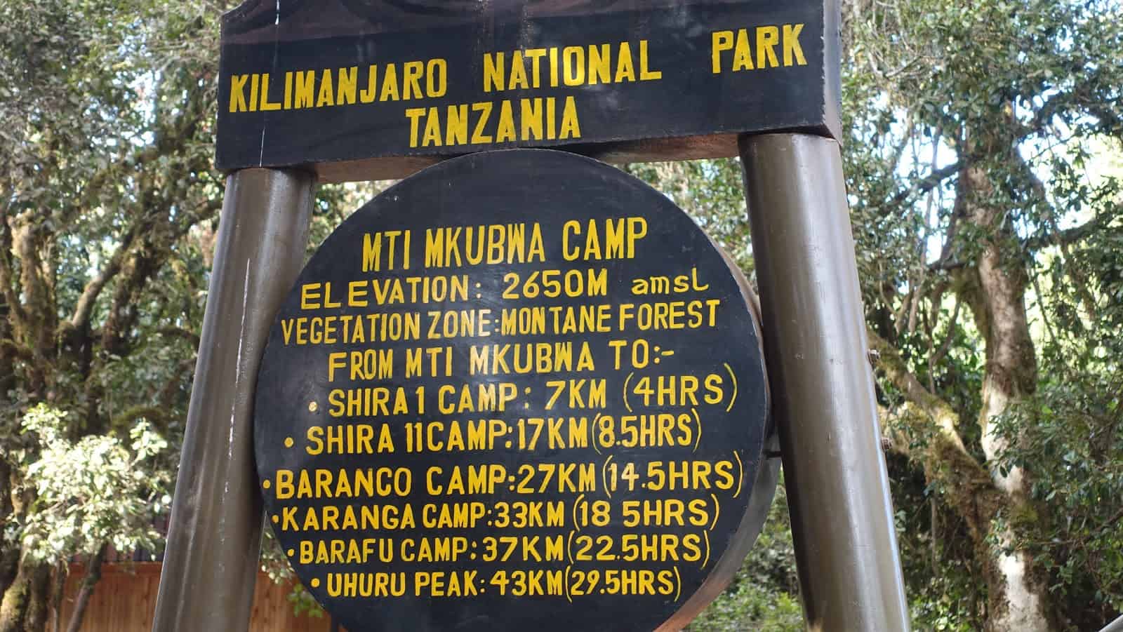 Mti Mkubwa Camp