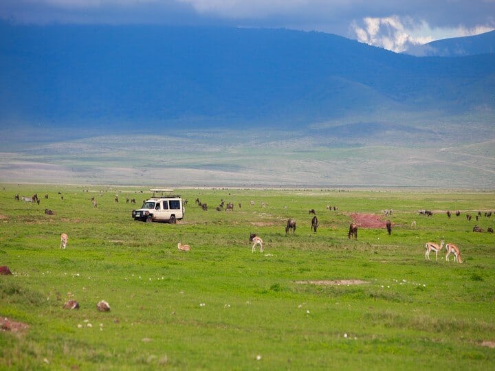 Jeep In Ngoro